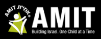 AMIT schools logo