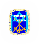 Israel Fencing logo